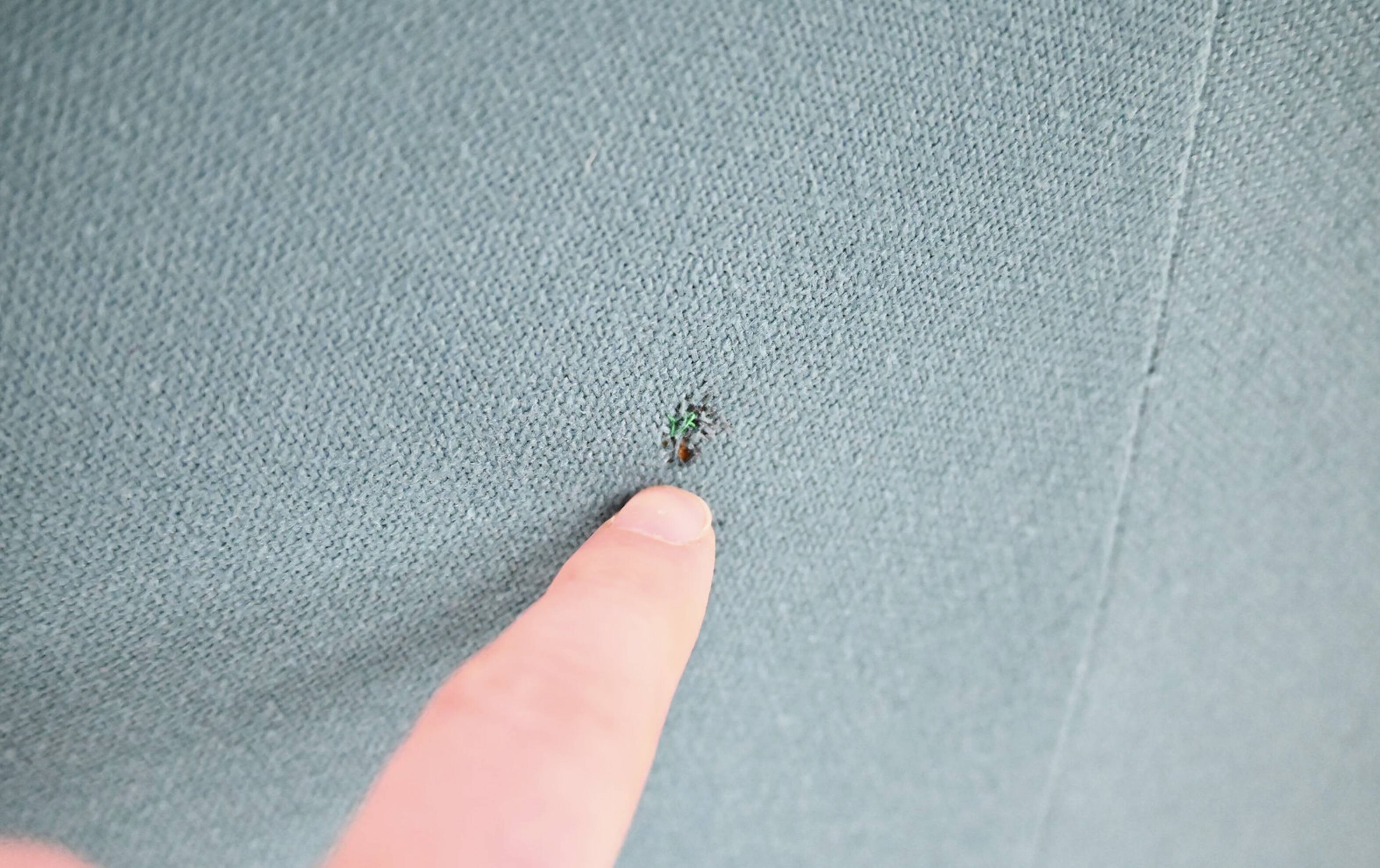 Chairs + Alky table by Giancarlo Piretti for Anonima Castelli, 1970s