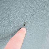 Chairs + Alky table by Giancarlo Piretti for Anonima Castelli, 1970s