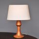 Sculptural Anthroposophical Wooden Table Lamp. 1970s