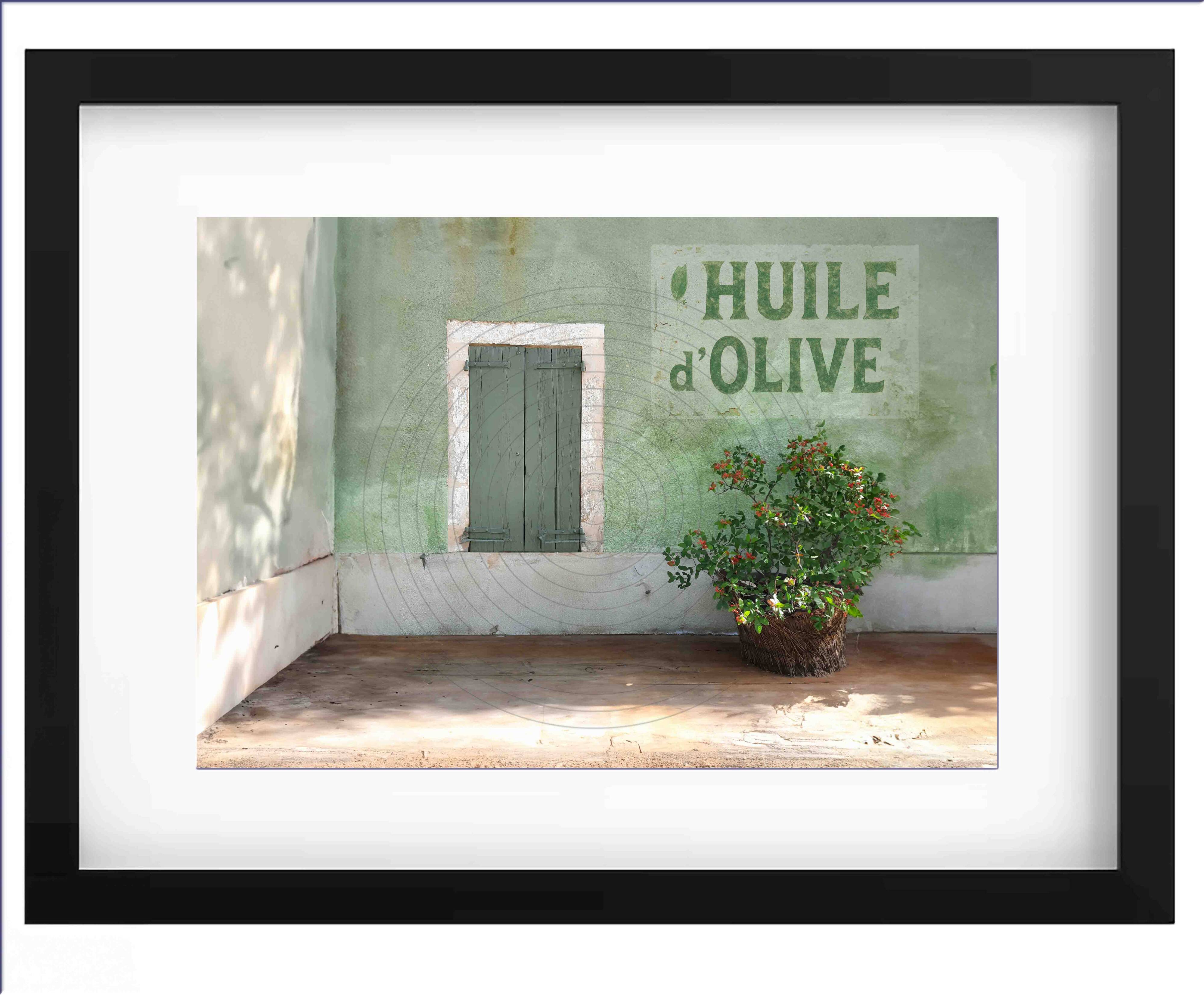 Photography - Olive oil -