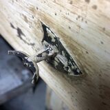 Old patinated painted wooden sideboard