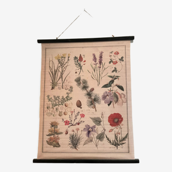 Tapestry, botanical canvas flowers