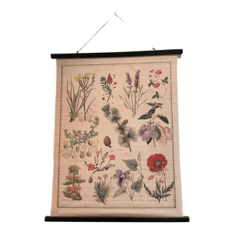 Tapestry, botanical canvas flowers