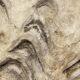 Blessed bivalve shell