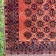 Afghan wool rug - 105 x 165