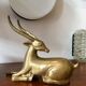 Gazelle laiton