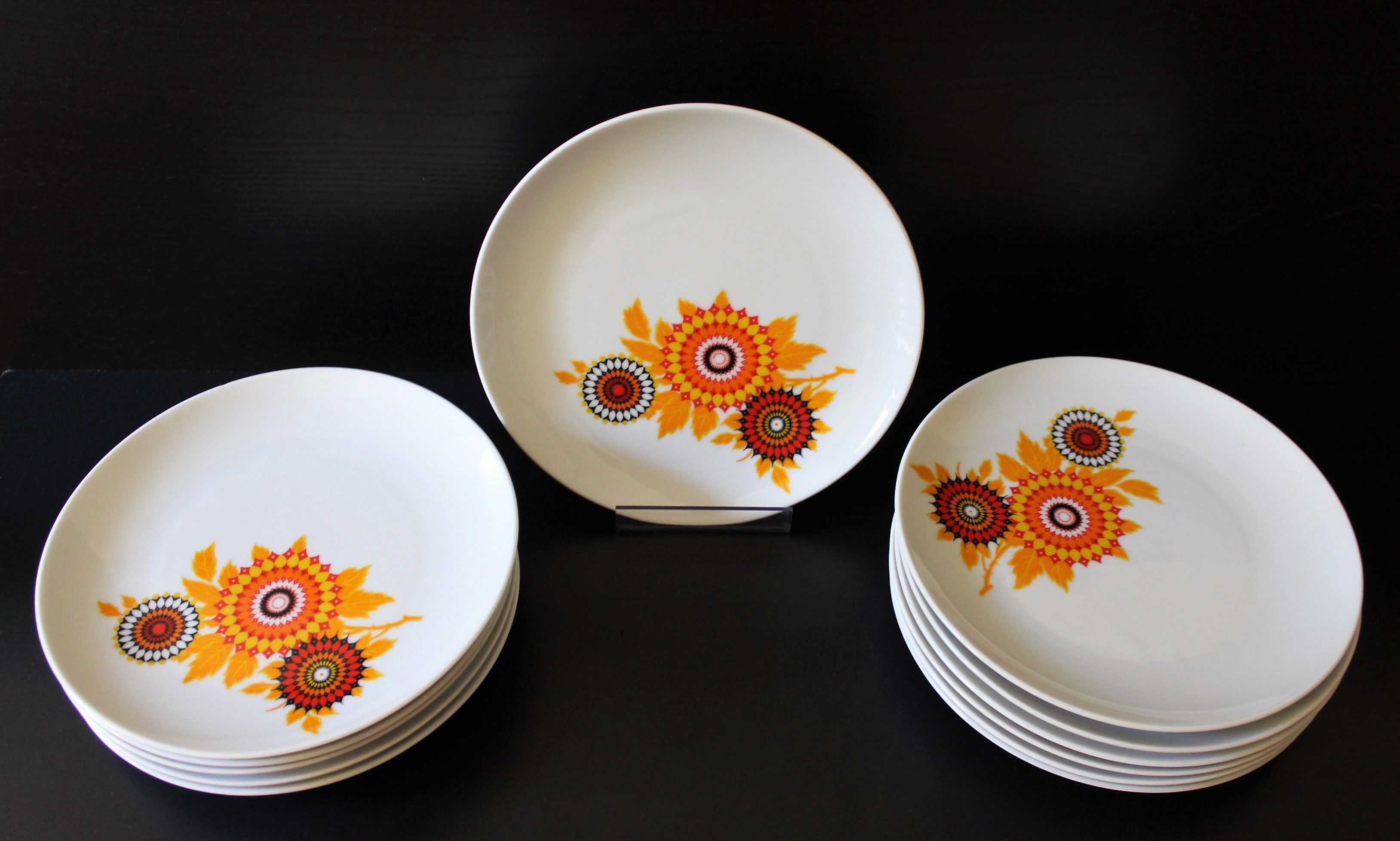 6 70's dessert plates in Winterling Bavaria porcelain