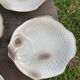 6 flat plates fish in beige ceramic Salins les bains