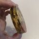 Lot 6 under glass botanical inclusion in resin genuine vintage flowers
