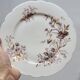 6 Superbes Assiettes Anciennes XIXème En Porcelaine Blanche Décor Oiseaux