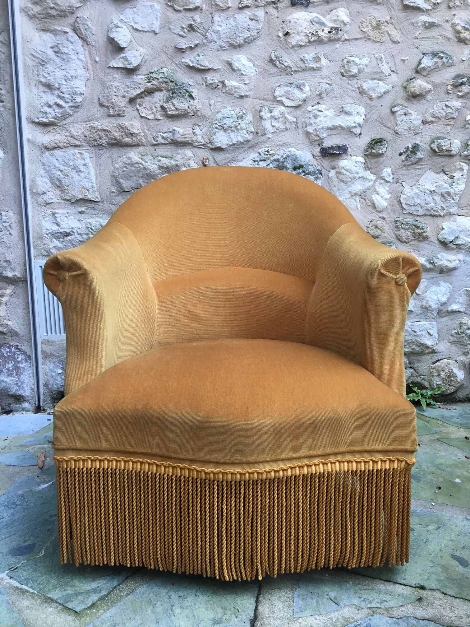 Velvet toad armchair