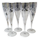 Set of 5 Large Crystal Champagne Flutes with Vine Branch Motifs 23.5cm