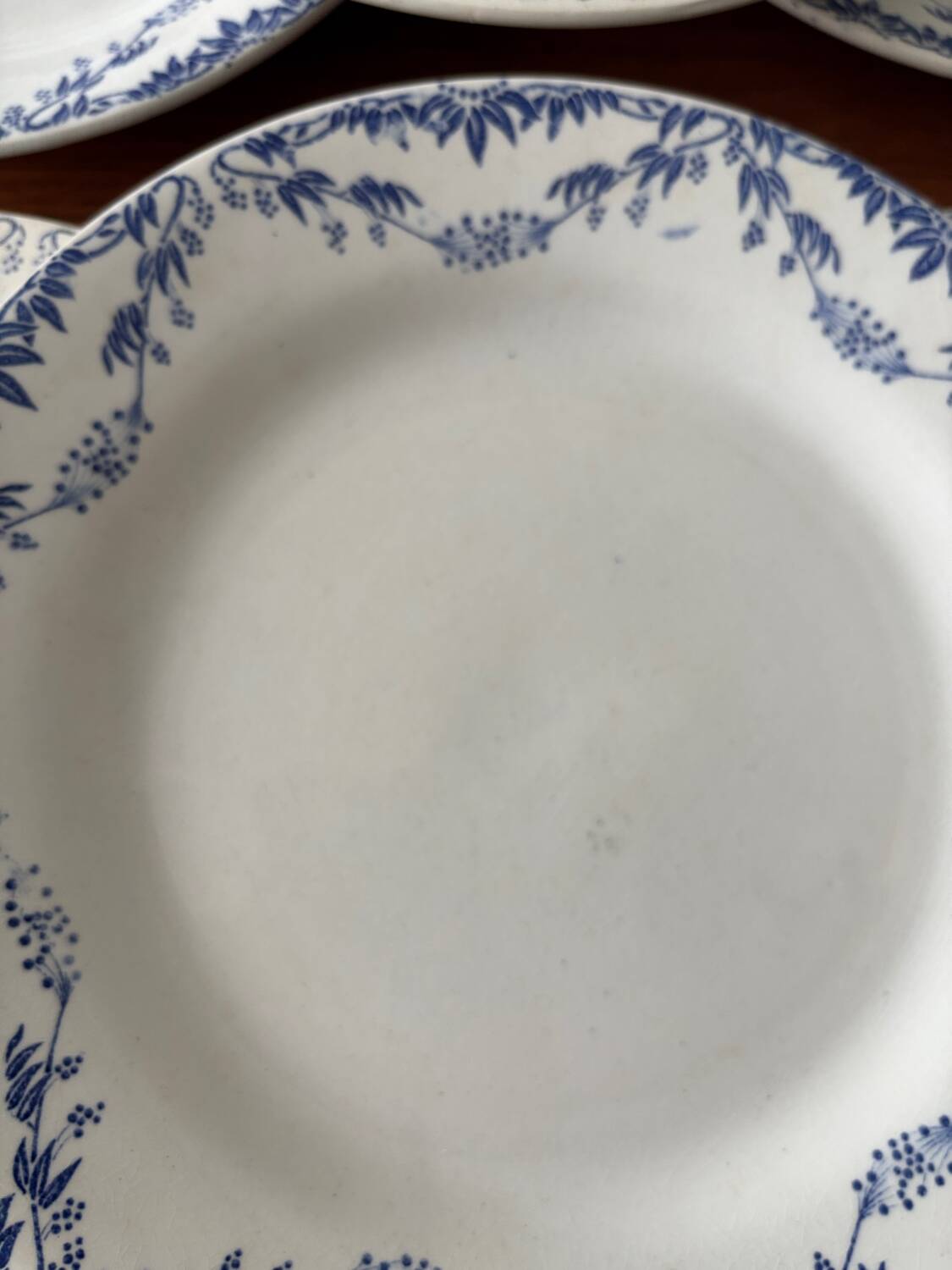 Set of 6 Creil and Montereau Labrador dinner plates – Mir model