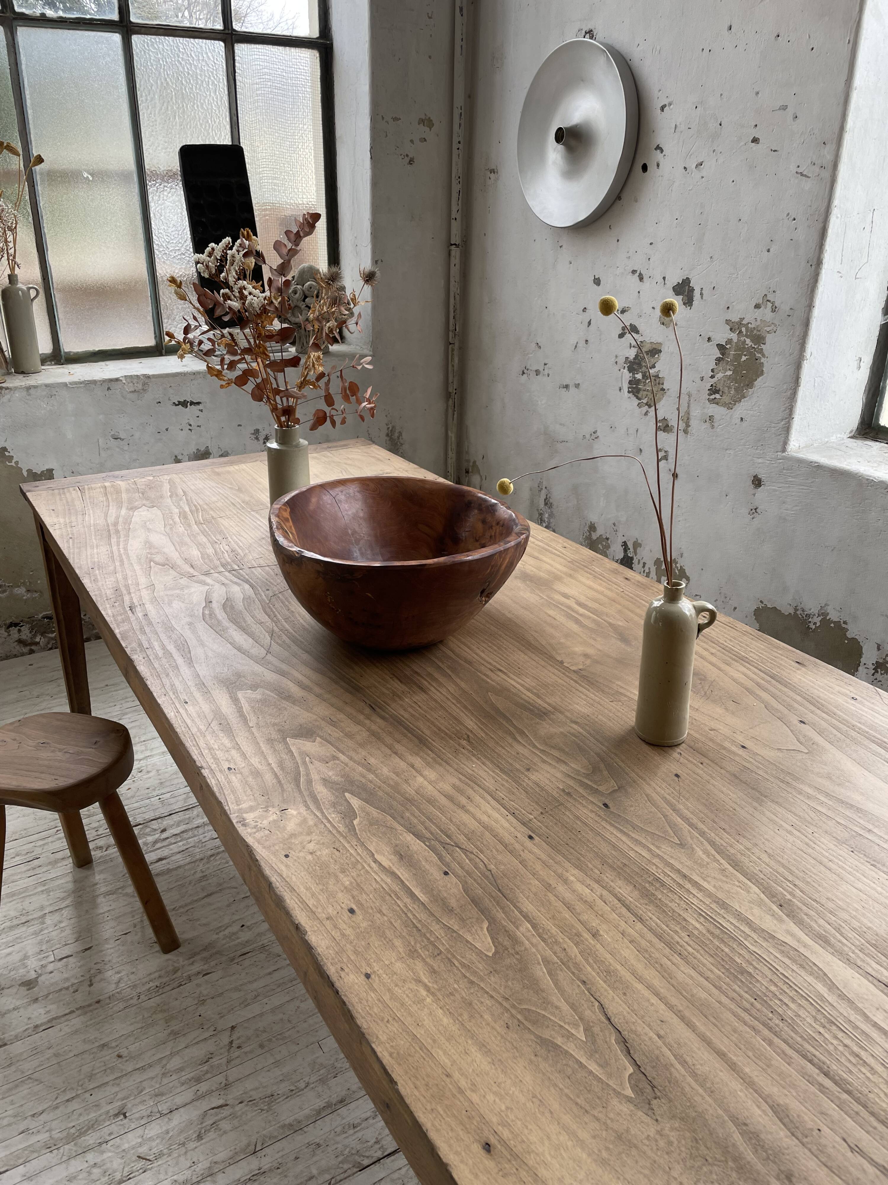 XL thuja root wooden dish