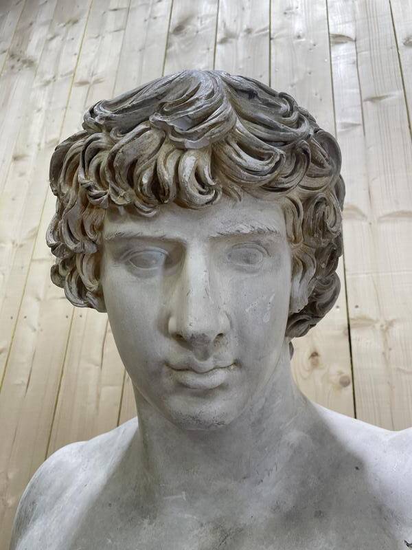 Buste D’Antinous dit Antinoüs Dicouen en plâtre modèle du Louvre