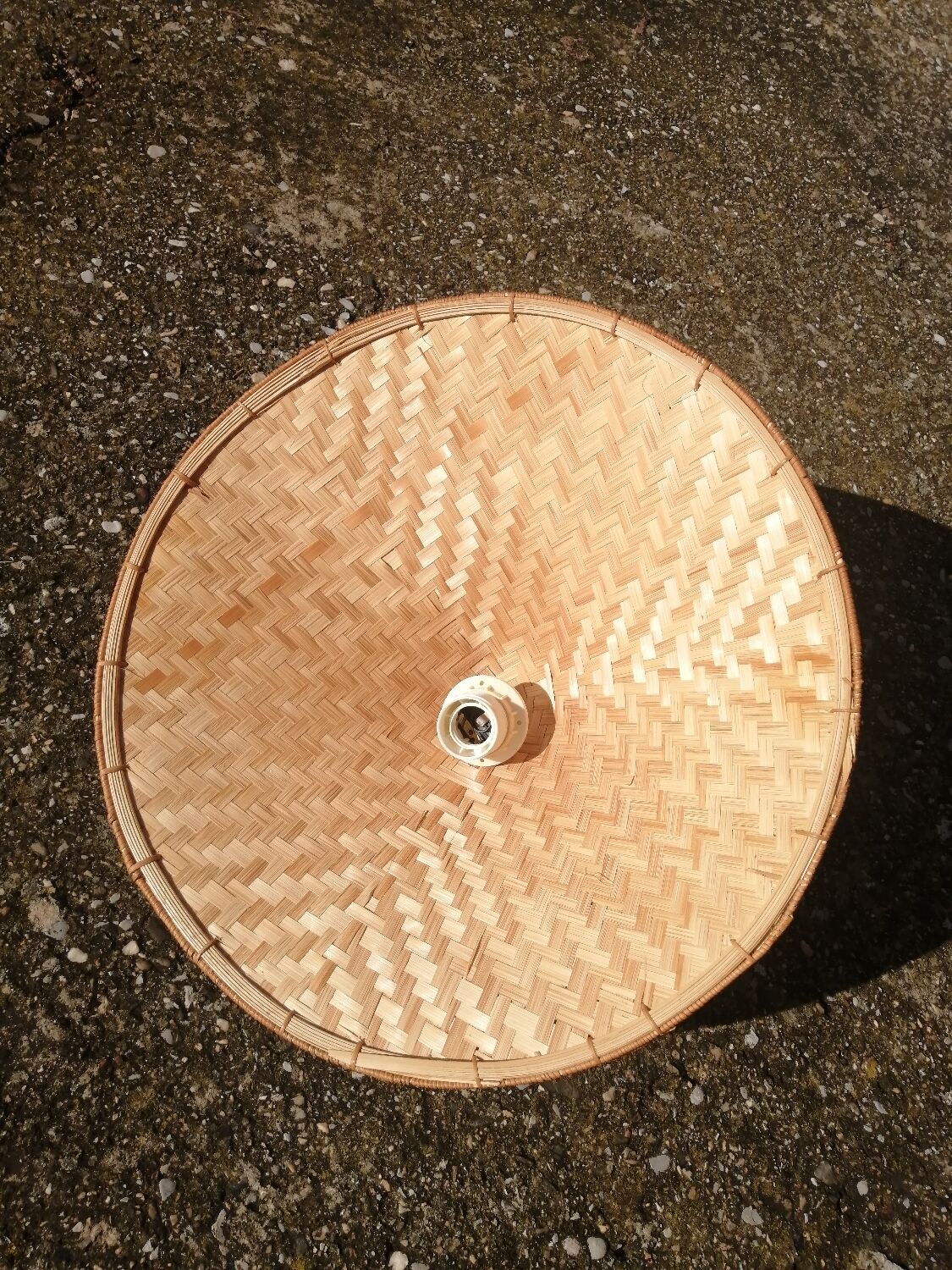 Vintage palm leaf pendant light