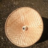 Vintage palm leaf pendant light