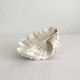 Natural shell holy water font empty pocket.