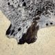 Norman cowhide ht 240 x 230