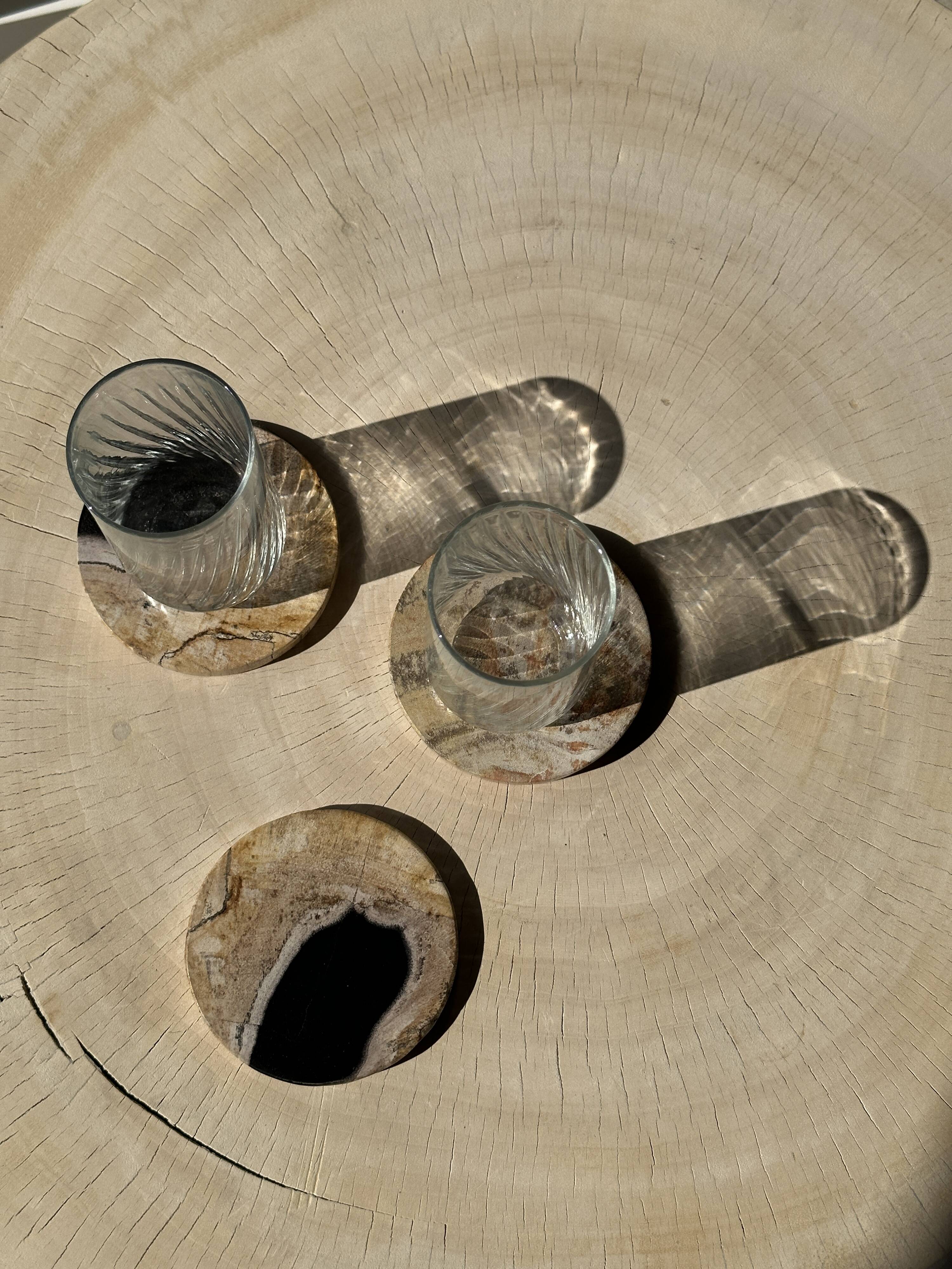 Set of 3 fossilized wood coasters (clear)