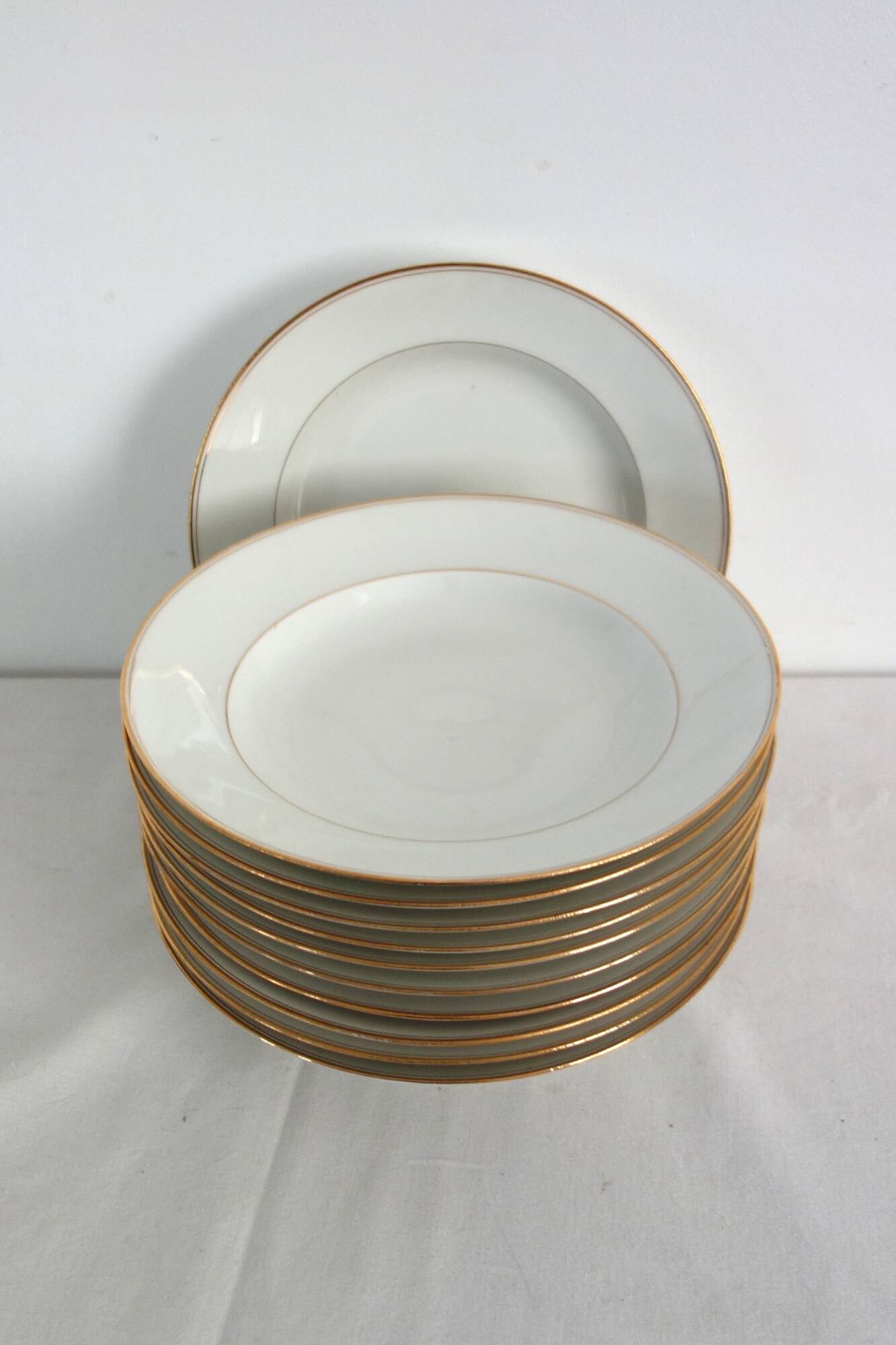 Set of 11 Limoges porcelain soup plates