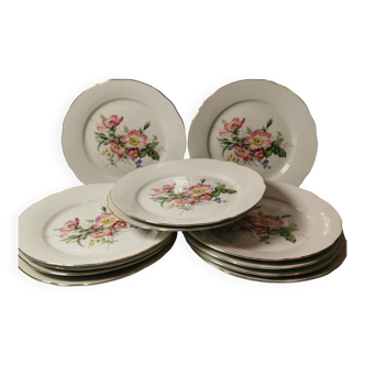 Service Ancien de 12 Assiettes Plates en Porcelaine Bavaria Bareuther Waldsassen Charmant