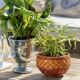 Vintage plant pot