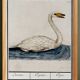 Small poster about the swan, after an old engraving from 1610.