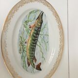 Fish service