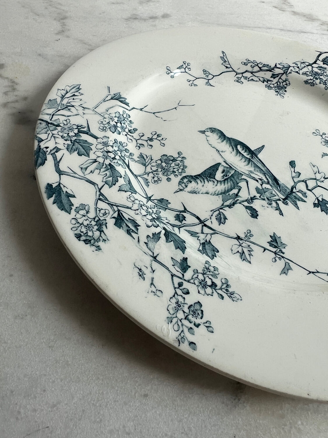 Luneville and KG Fauvette dinner plate