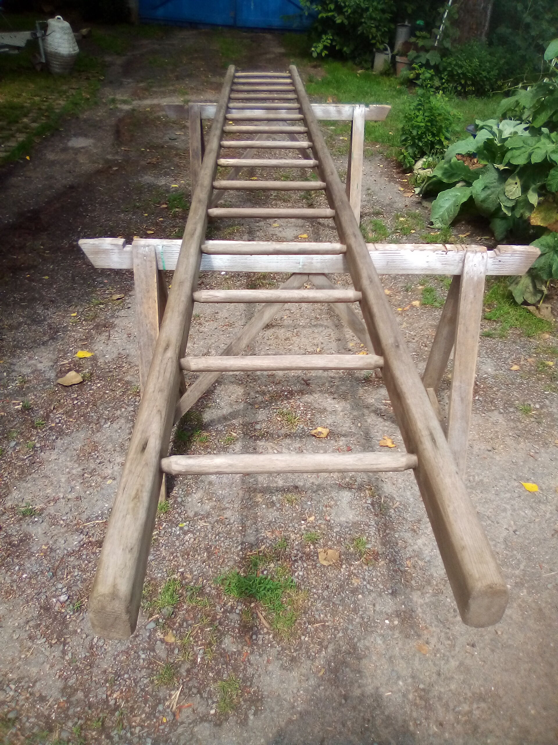 Old wood scale 4 meters