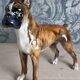 Porcelain Boxer Dog, Goebel, Germany, 1973