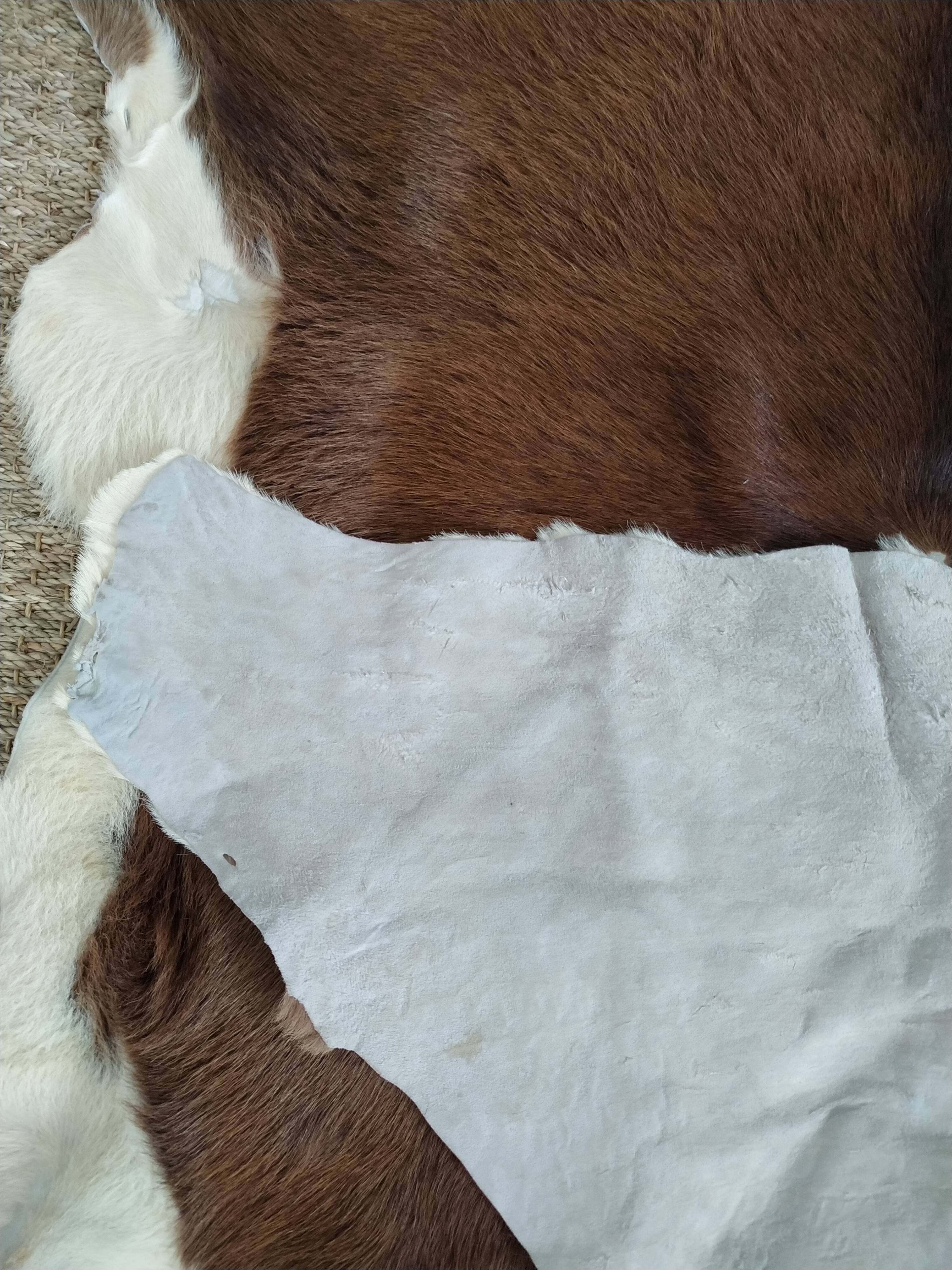 Cow skin