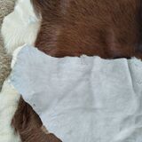 Cow skin