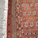 Tapis d'orient laine de soie 196x285
