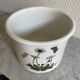 Cache pot Portmeirion Susan Williams Ellis The Botanic Garden