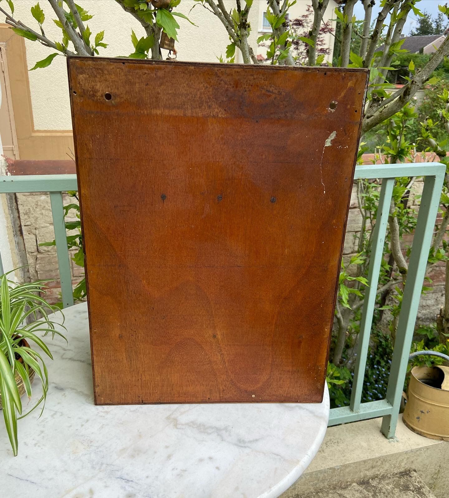 1950 vintage pharmacy or toilet cabinet in waxed wood