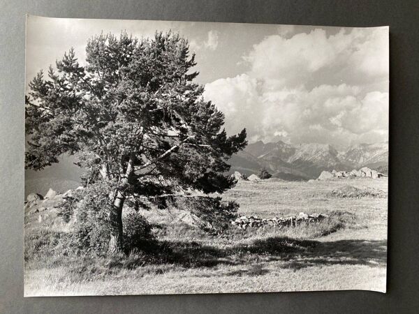 Photo argentique Bernard Darot XXe, ''Muret