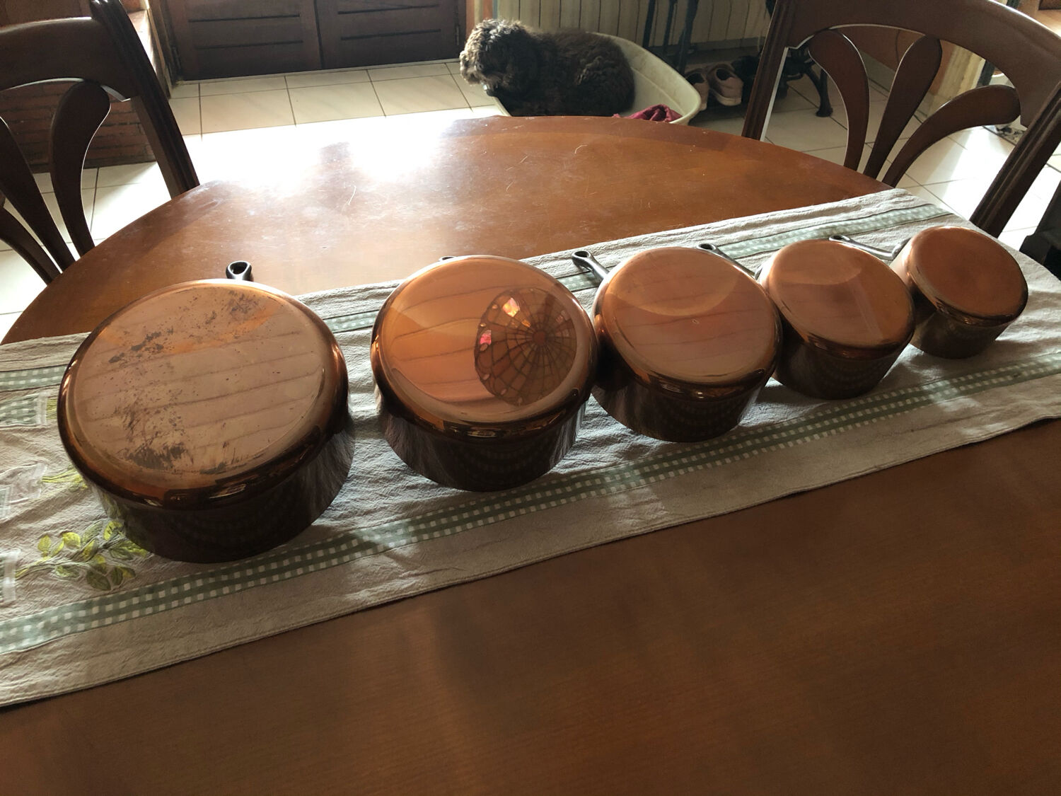 Series 5 copper pans