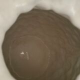 Pineapple slurry pitcher