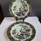 Plates
