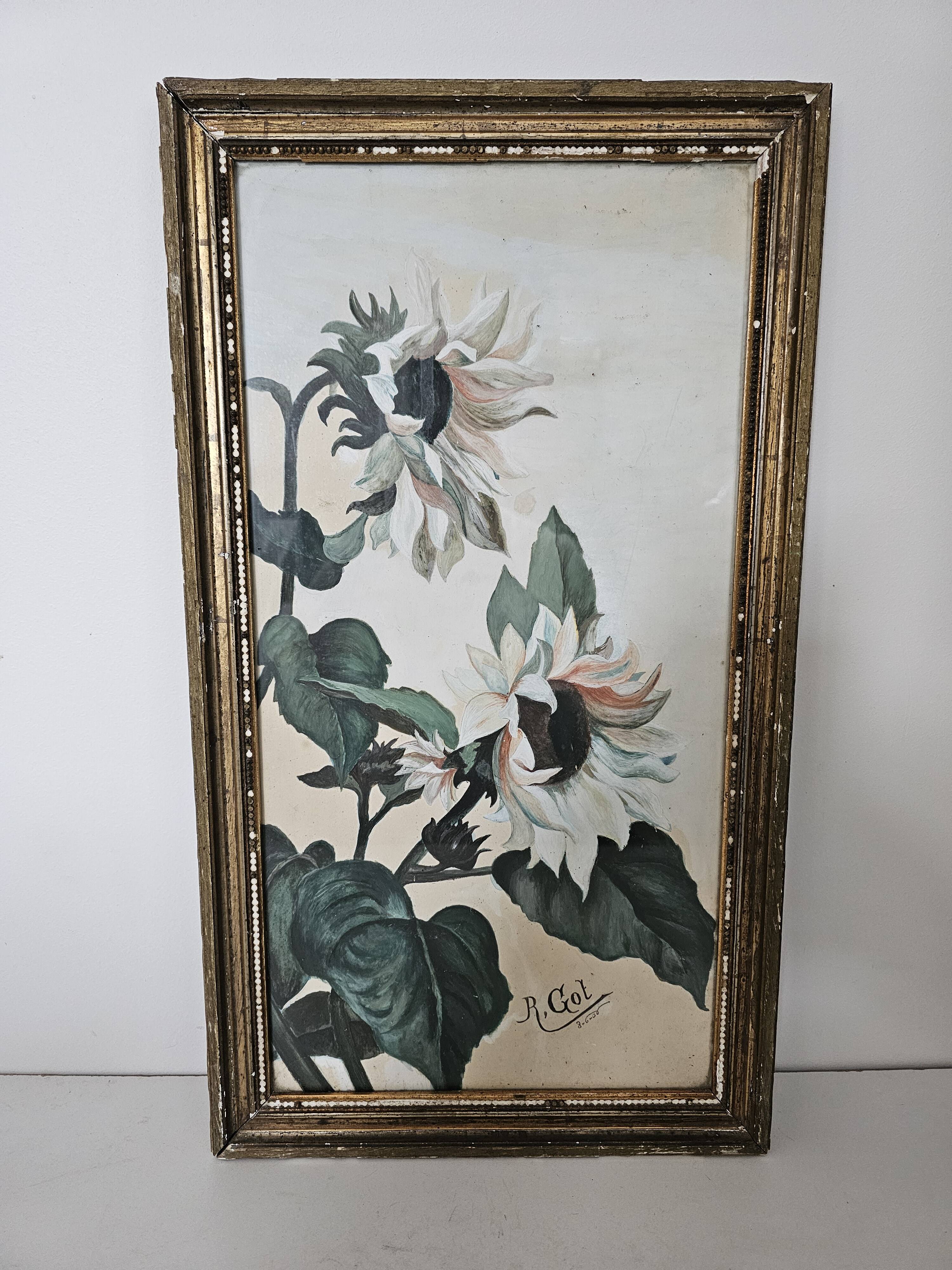 Tableau - Painting on paper Sunflower flowers Signed R. Got 1906