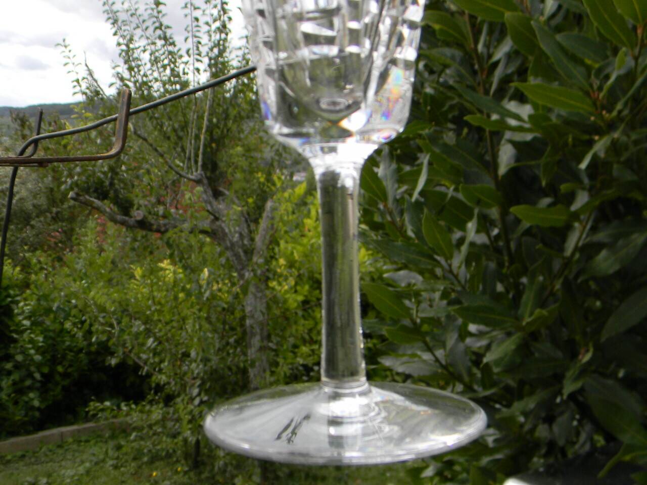 Lot de 6 verres à porto en cristal VILLEROY ET BOCH. Modèle Concorde.