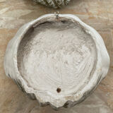 Duo of Art Deco plaster shell sconces