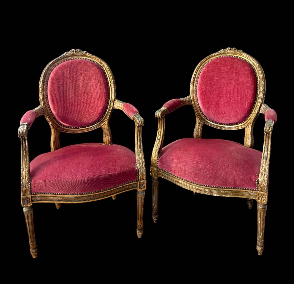 Pair of Louis XVI Medallion Armchairs