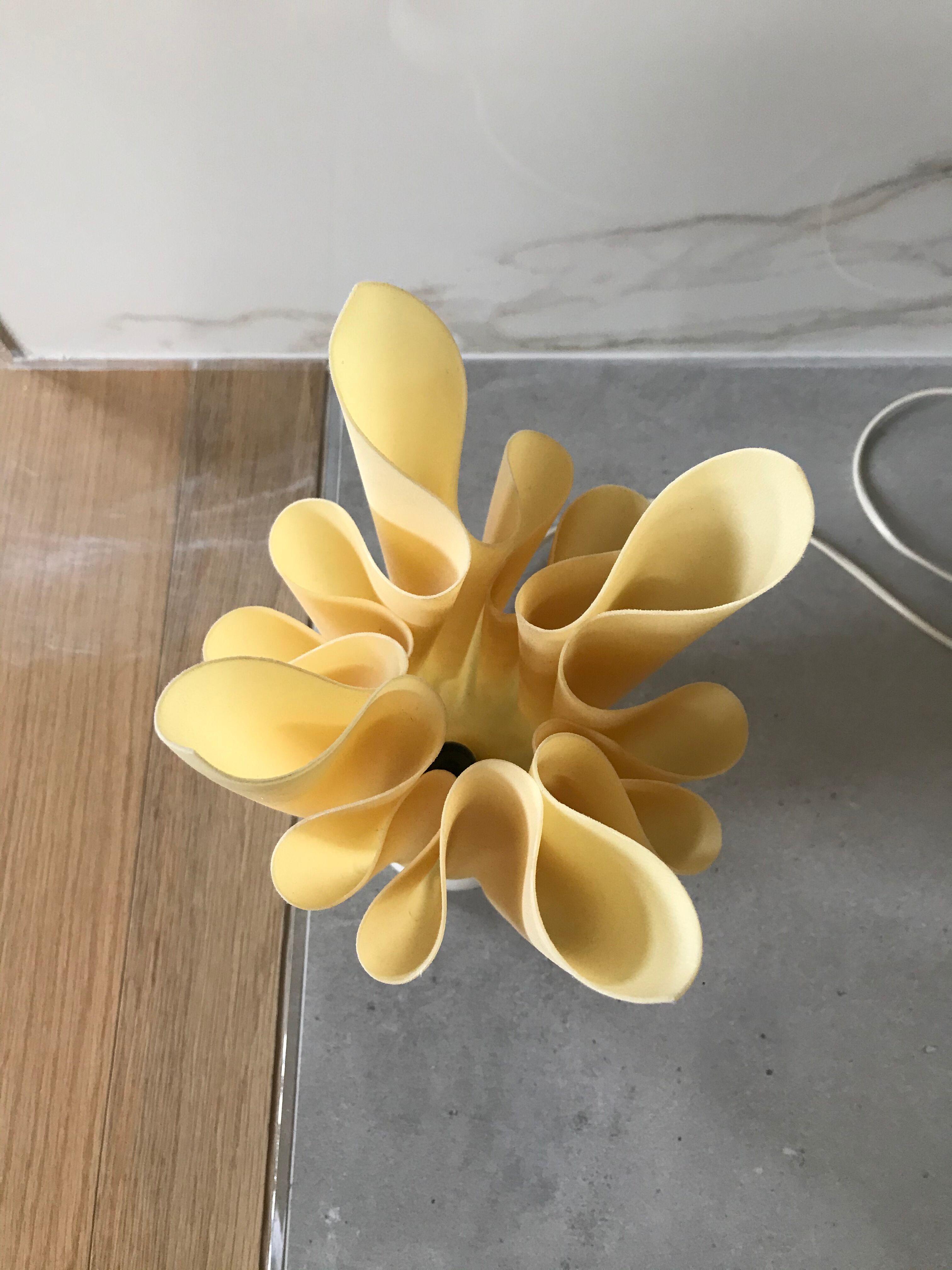 Georgia Jacob's lamp to lay