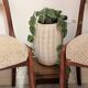 Baumann style chairs