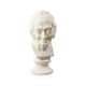 Large Classical Bust Bust Old Man Plaster 51cm