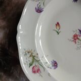Service of 8 plates + 1 compote dish Limoges France