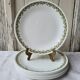 Corelle Corning 9 flat plates
